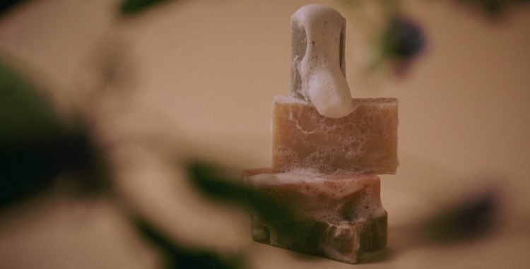 FOUR SEASONS SOAP