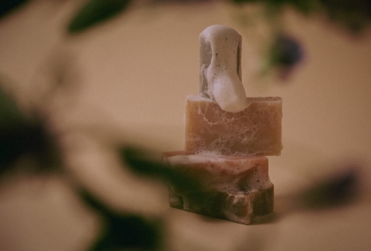 FOUR SEASONS SOAP